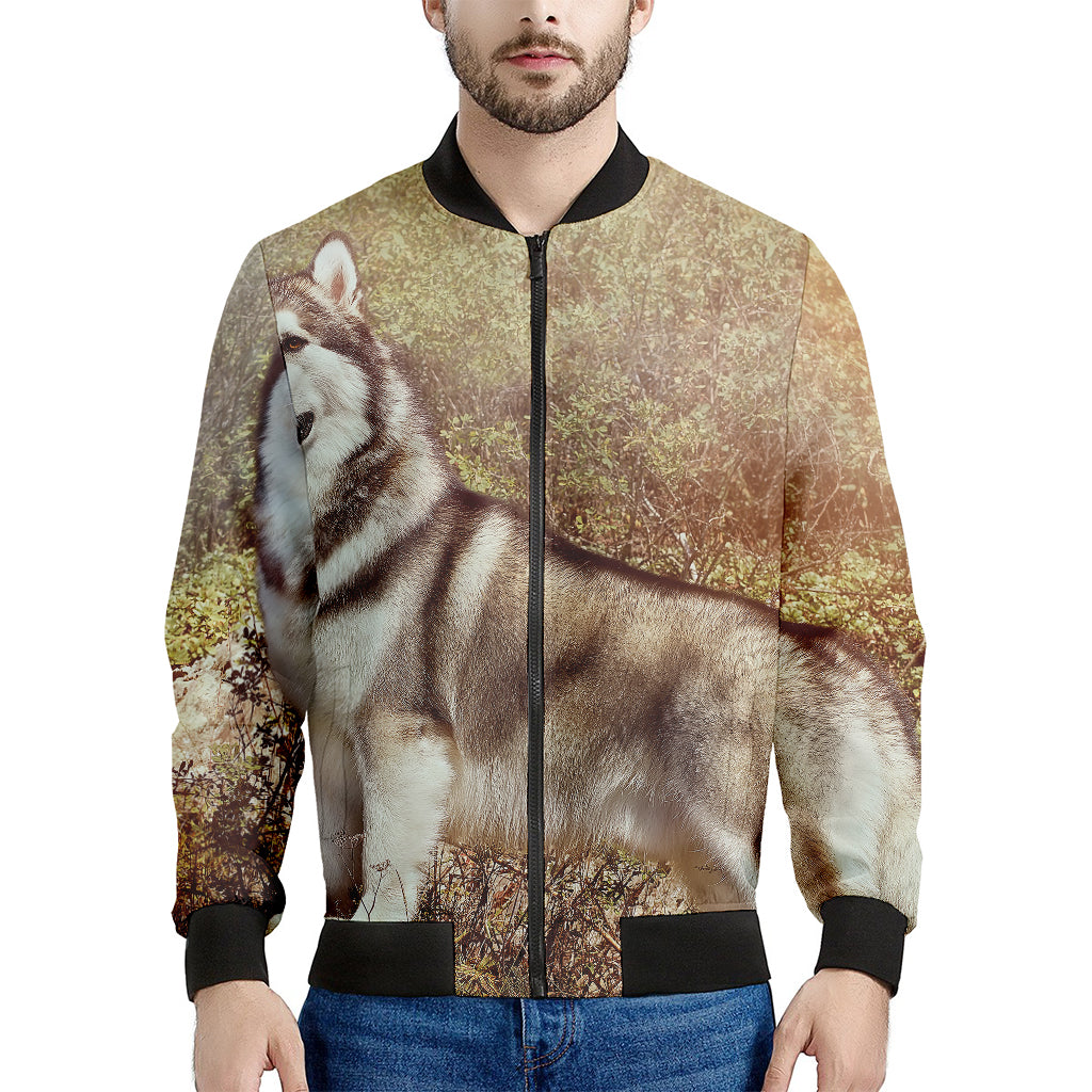 Vintage Alaskan Malamute Print Men's Bomber Jacket